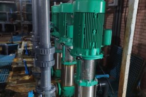 wilo pumps - bridge EG